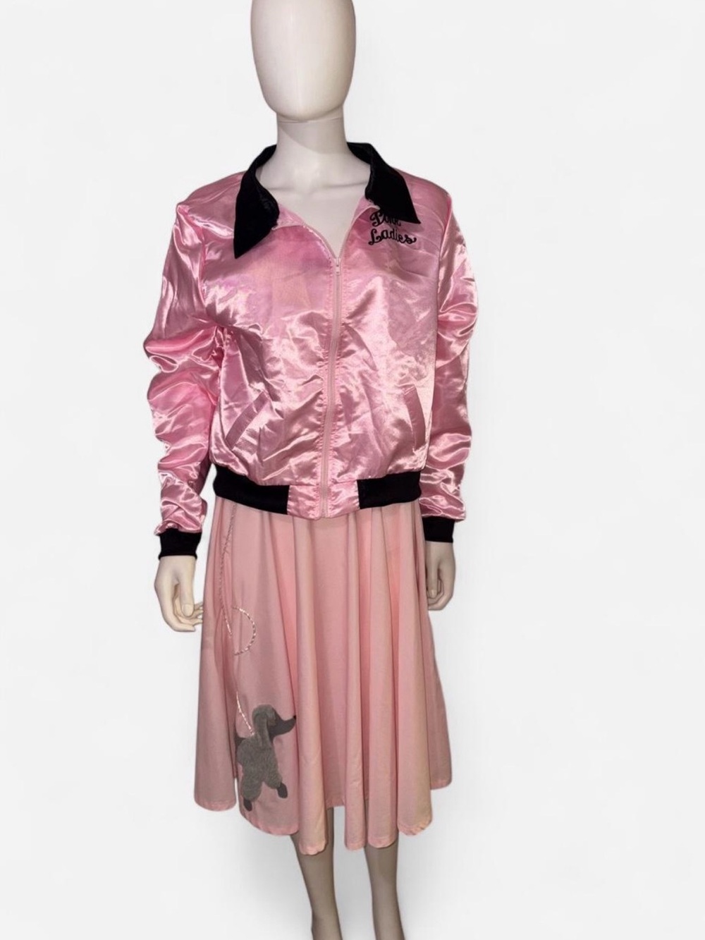 Womenβs Pink ladies costume
